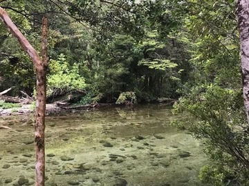 Venta / Sitio / Cochamó