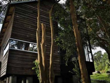 Venta / Sitio / Coihueco