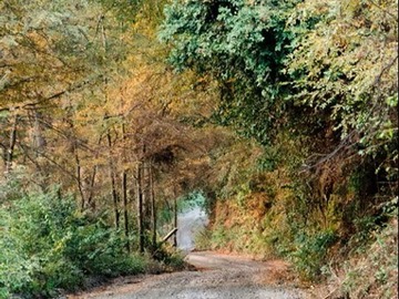 Venta / Sitio / Coihueco