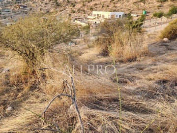 Imagen 7