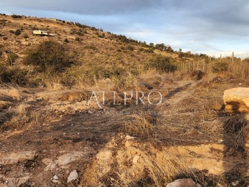 Imagen 5