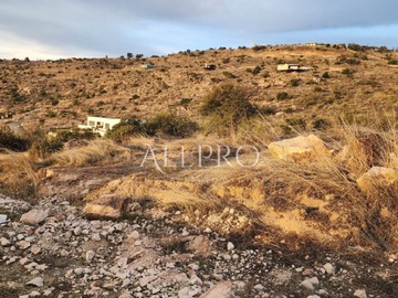 Imagen 6