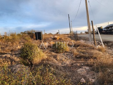 Imagen 8
