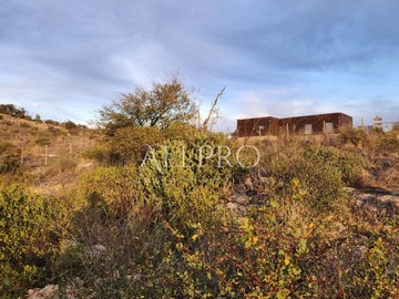Imagen 9
