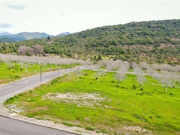 Imagen 14