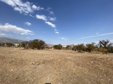 Imagen 4