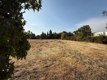 Venta / Sitio / Colina