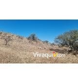 Imagen 9