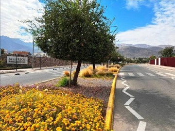 Imagen 9