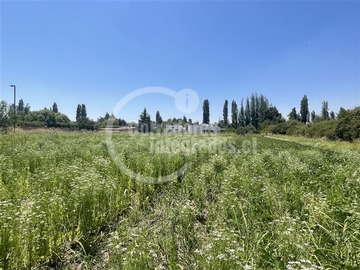 Venta / Sitio / Colina