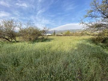 Imagen 4