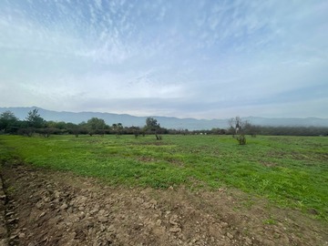 Imagen 6