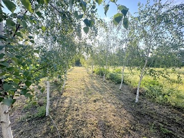 Venta / Sitio / Colina