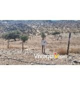 Imagen 15