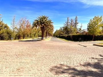 Imagen 10