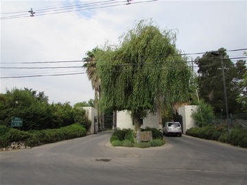 Imagen 6