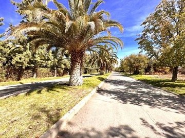 Imagen 6
