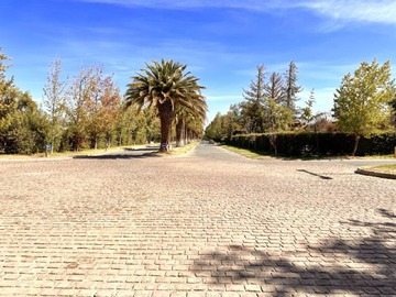 Imagen 7