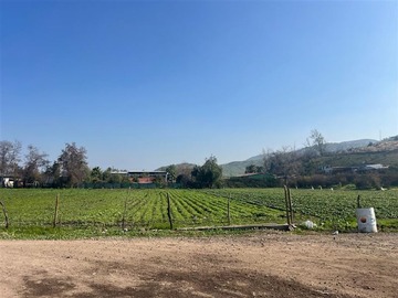 Venta / Sitio / Colina