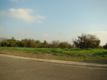 Imagen 7