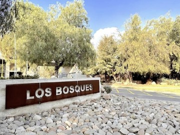 Venta / Sitio / Colina