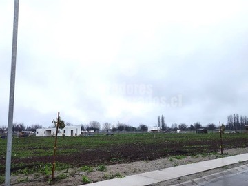 Imagen 9