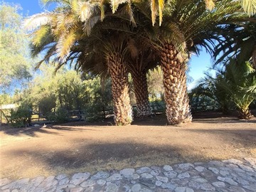 Venta / Sitio / Colina