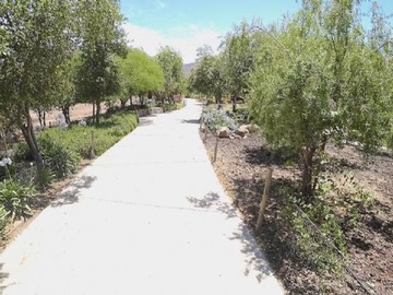 Imagen 5