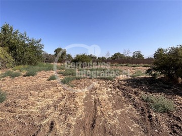 Imagen 6