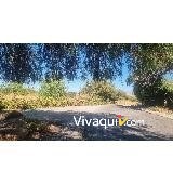 Imagen 8