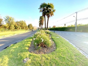 Imagen 8