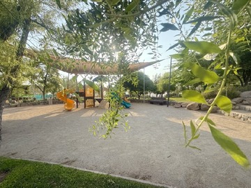 Imagen 6