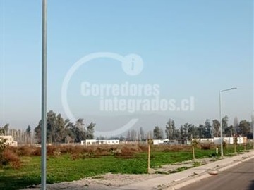 Imagen 7