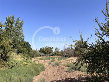 Venta / Sitio / Colina