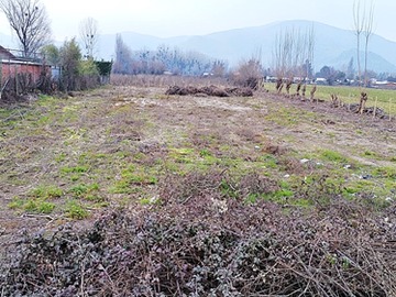 Venta / Sitio / Coltauco