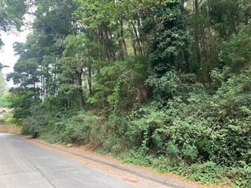 Venta / Sitio / Concepción