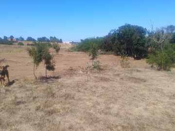 Venta / Sitio / Concón