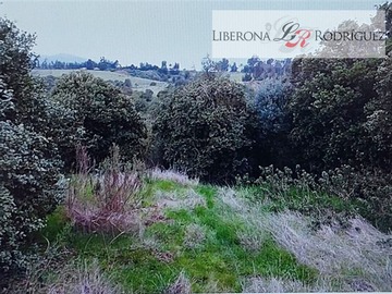 Venta / Sitio / Concón