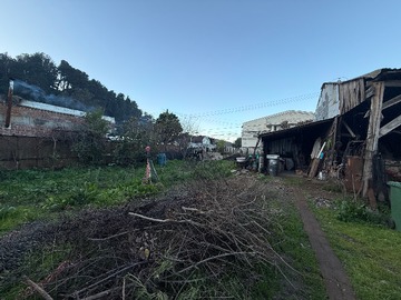 Imagen 5