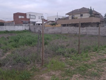 Imagen 10