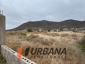 Imagen 9