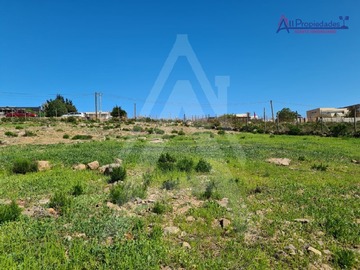 Imagen 7