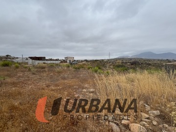 Imagen 11