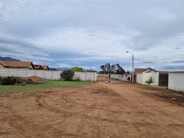 Imagen 6