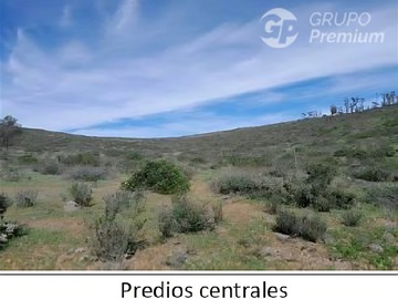 Imagen 8
