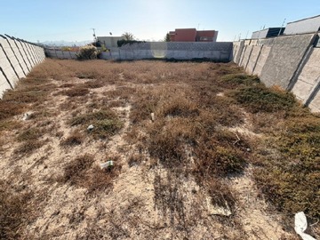Imagen 11