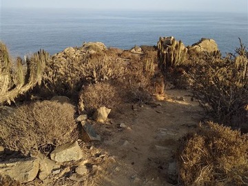 Venta / Sitio / Coquimbo