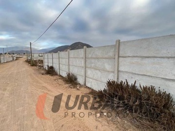 Imagen 6