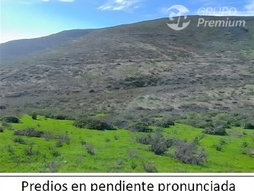 Imagen 10
