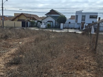 Imagen 4